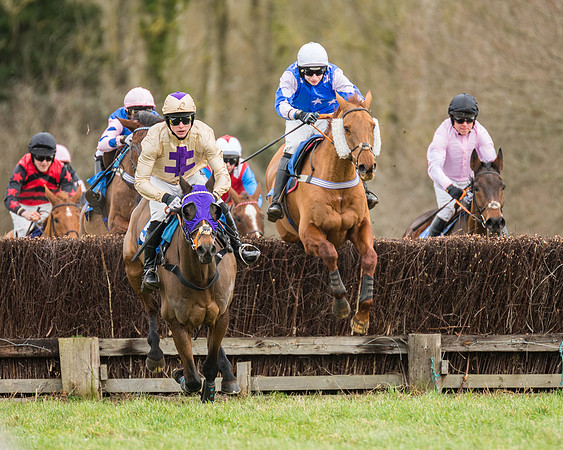 Race 1 - Conditions - Veteran Horse  (60 of 88)