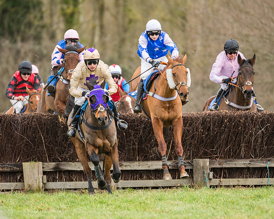 Race 1 - Conditions - Veteran Horse  (61 of 88)