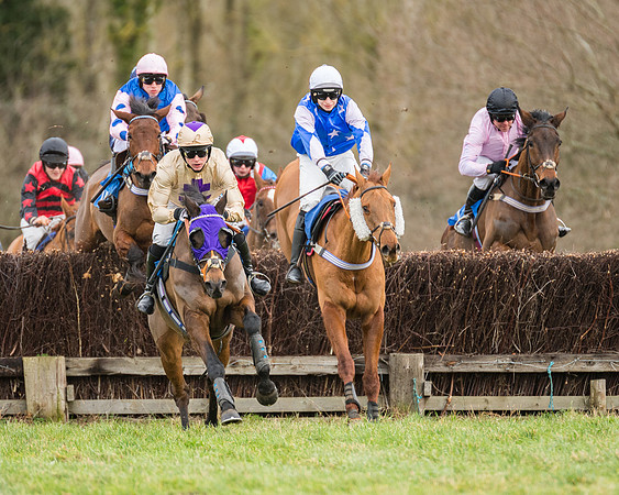 Race 1 - Conditions - Veteran Horse  (62 of 88)