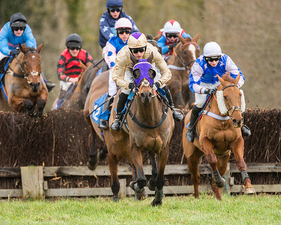 Race 1 - Conditions - Veteran Horse  (63 of 88)