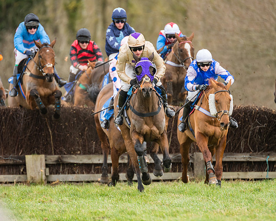 Race 1 - Conditions - Veteran Horse  (64 of 88)