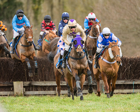 Race 1 - Conditions - Veteran Horse  (65 of 88)