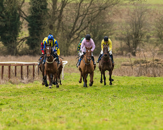 Race 2 - Maiden Div 1 (3 of 64)