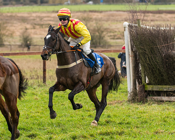 Race 2 - Maiden Div 1 (28 of 64)