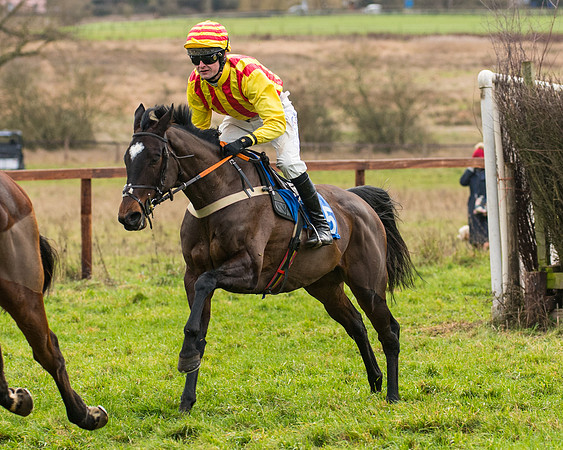 Race 2 - Maiden Div 1 (29 of 64)