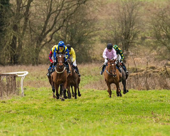 Race 2 - Maiden Div 1 (31 of 64)