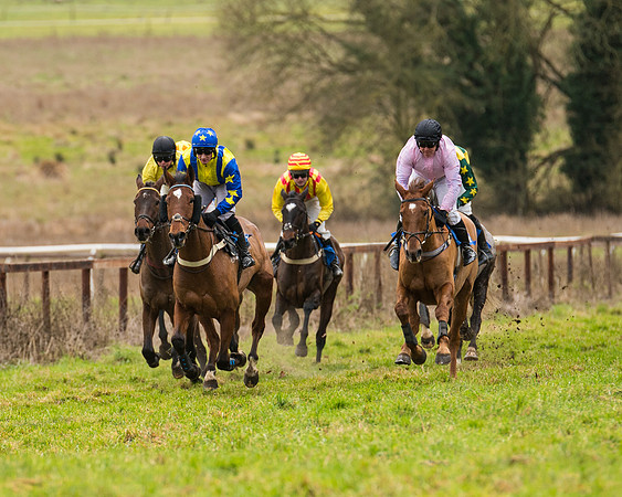 Race 2 - Maiden Div 1 (33 of 64)