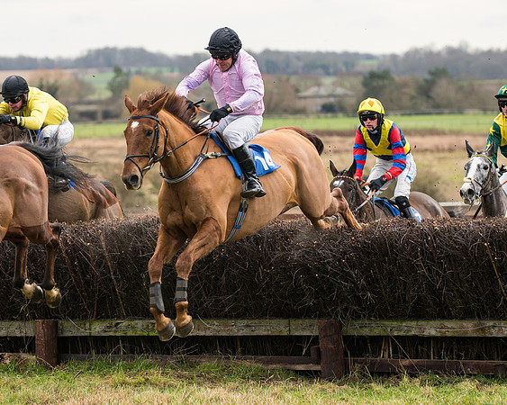 Race 2 - Maiden Div 1 (40 of 64)
