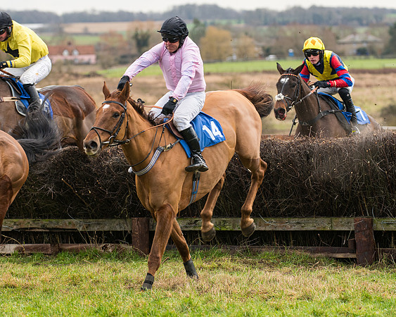 Race 2 - Maiden Div 1 (42 of 64)