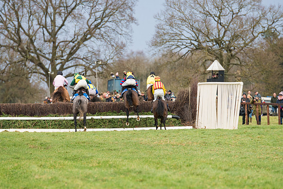 Race 2 - Maiden Div 1 (53 of 64)