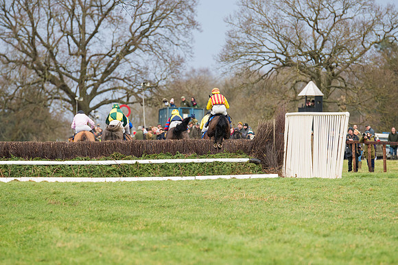 Race 2 - Maiden Div 1 (56 of 64)