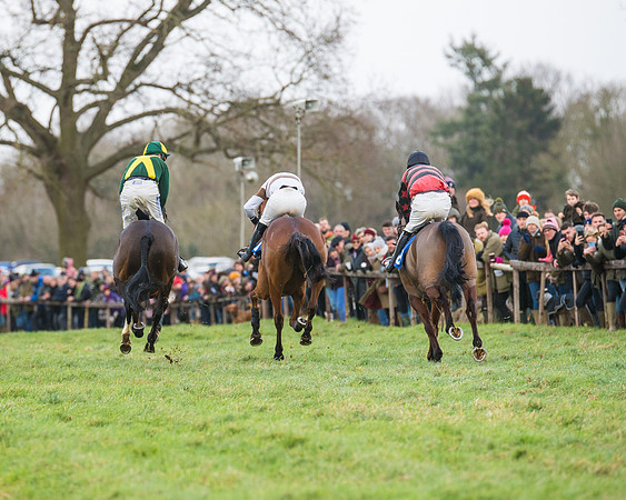 Race 3 - Maiden Div 2 (50 of 55)