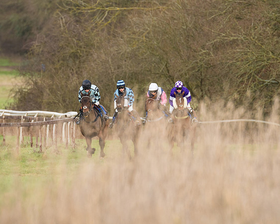 Race 4 - Ladies Open (5 of 79)