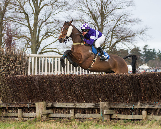 Race 4 - Ladies Open (20 of 79)