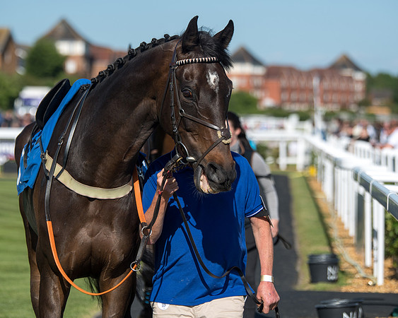 Race 1 - PPSA Open Hunter chase (12 of 78)
