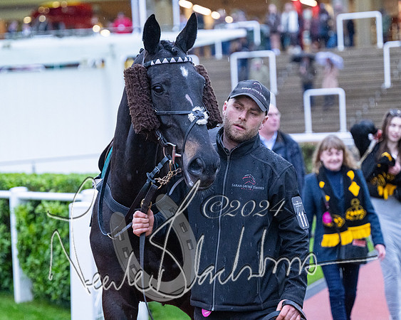 Race 7 - Glos Hussars (19 of 220)
