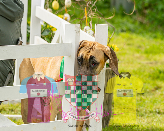 Best in Show (5 of 27)