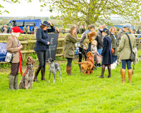 Best in Show (8 of 27)
