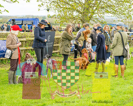 Best in Show (8 of 27)