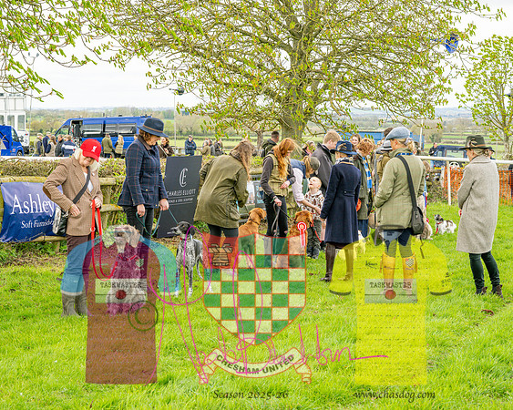 Best in Show (9 of 27)
