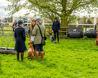 Best in Show (16 of 27)