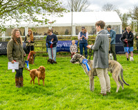 Best in Show (18 of 27)