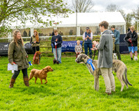 Best in Show (17 of 27)