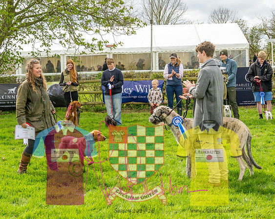 Best in Show (17 of 27)