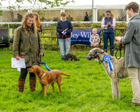 Best in Show (19 of 27)