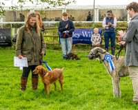 Best in Show (20 of 27)