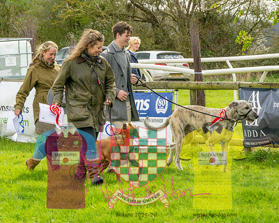 Best in Show (24 of 27)
