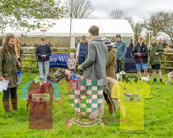 Best in Show (22 of 27)