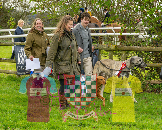Best in Show (25 of 27)