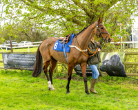 Race 1 - Hildreth's Conditions (5 of 115)