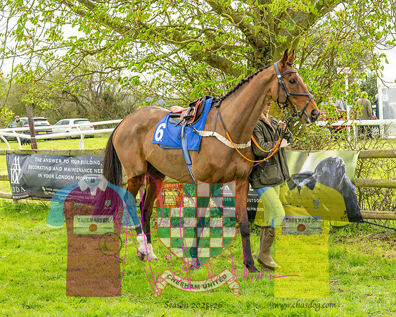 Race 1 - Hildreth's Conditions (5 of 115)