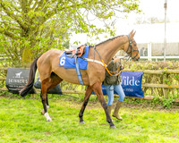 Race 1 - Hildreth's Conditions (6 of 115)