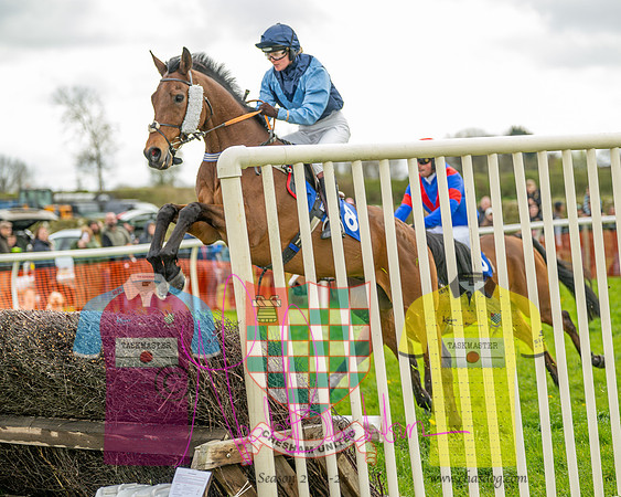 Race 1 - Hildreth's Conditions (73 of 115)