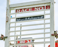 Race 3 [W/O]