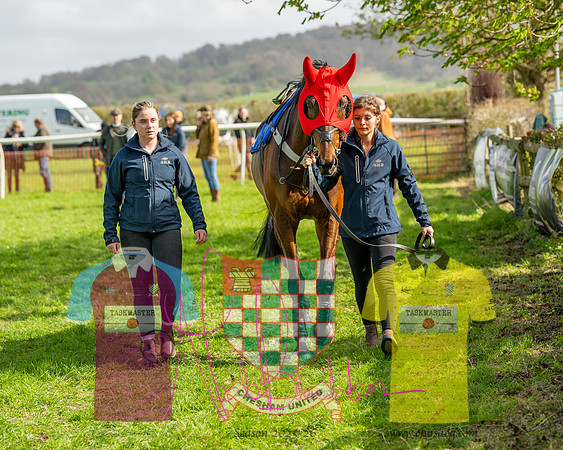 Race 4 - Aston Mullins Stud. Mens Open (2 of 108)