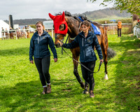 Race 4 - Aston Mullins Stud. Mens Open (3 of 108)