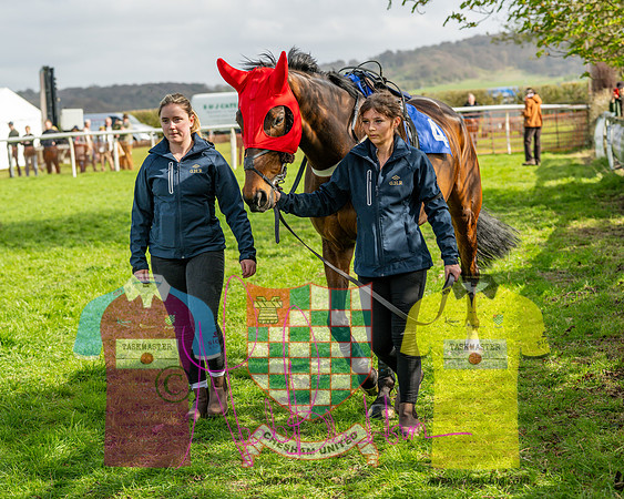 Race 4 - Aston Mullins Stud. Mens Open (3 of 108)