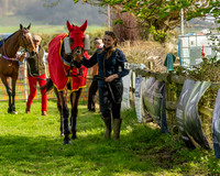 Race 4 - Aston Mullins Stud. Mens Open (5 of 108)