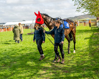 Race 4 - Aston Mullins Stud. Mens Open (4 of 108)