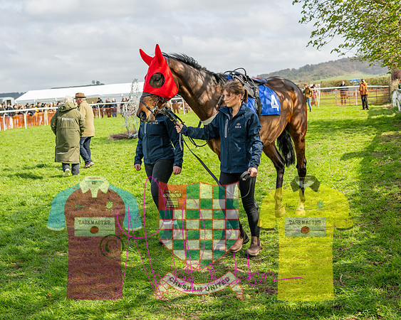 Race 4 - Aston Mullins Stud. Mens Open (4 of 108)