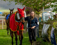 Race 4 - Aston Mullins Stud. Mens Open (7 of 108)