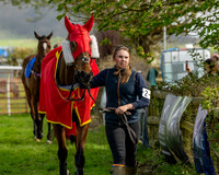 Race 4 - Aston Mullins Stud. Mens Open (8 of 108)