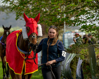 Race 4 - Aston Mullins Stud. Mens Open (9 of 108)