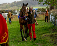 Race 4 - Aston Mullins Stud. Mens Open (11 of 108)