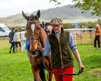 Race 4 - Aston Mullins Stud. Mens Open (15 of 108)