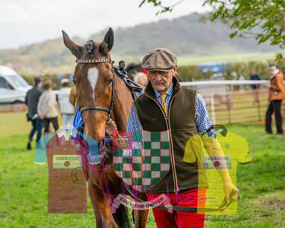 Race 4 - Aston Mullins Stud. Mens Open (15 of 108)